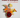 make a bouquet with allie imaghodor