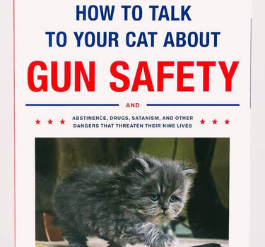 how to talk to your cat about gun safety and abstinence