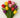 keukenhof candle