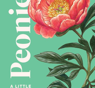 peonies