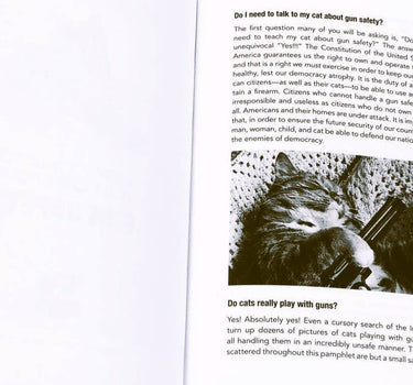 how to talk to your cat about gun safety and abstinence